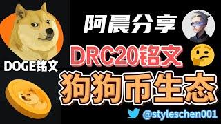 狗狗币铭文DRC20；DOGE铭文生态介绍和问题复盘：高风险高收益！如何使用狗狗币钱包购买DRC20铭文 #doge #btc