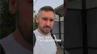 лес от Государства #кокорины #строительство #каркасныйдом #ремонт #участок #семья
