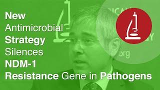 New Antimicrobial Strategy Silences NDM-1 Resistance Gene in Pathogens - ICAAC 2014