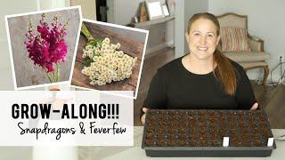 Growalong Video One!!  How to Start Snapdragons & Feverfew from Seed - Growing Cut Flowers