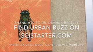 Urban Buzz on SciStarter