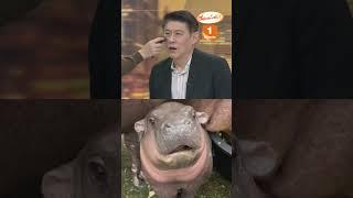 สรยุทธเด้ง! ปัดแก้มแดงเป็นหมูเด้ง