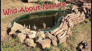 Creating A Log Pile Habitat Around The Pond For Wildlife - 4K