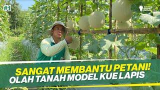 MASTER TANAM MELON !! BEGINI OLAH TANAH YANG BENAR!