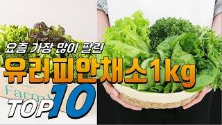 2024년 대박! 아이템! 유러피안채소1kg! 베스트 TOP10! 가격 평점 리뷰 후기 총정리!!