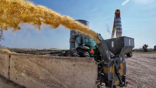 Wet Corn Harvest