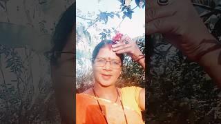 stories #viral #subscribe #religion #youtuber #bhakti #song sasura mein Devra
