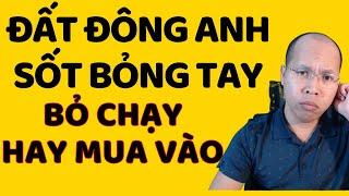 Đất Đông Anh sốt bỏng tay, mua hay bán