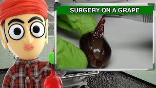 They Did Surgery On A Grape - Runforthecube Food Review