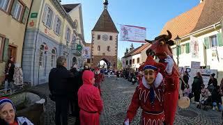 Fasnetumzug Endingen am Kaiserstuhl vom 03 03 2025