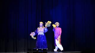 Pakistani cultural  performance  2017 Hamilton