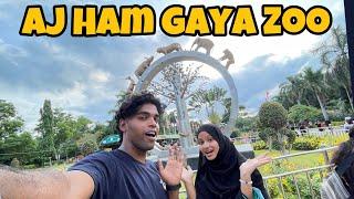 Aj Ham Gaya Zoo  #explore #trending #viralvideo