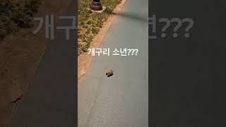 개구리(두꺼비)가 갑자기 트랙을 도네요! #asmr #seoul #자연소리 #동물영상 #두꺼비