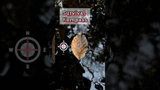 How to make a survival kompass? #survival #outdoors #camping