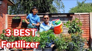 Are You Using Too Much Fertilizer | How Often Should You Fertilize Vegetable Garden