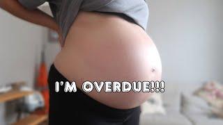 40 weeks pregnant update | I'm overdue!