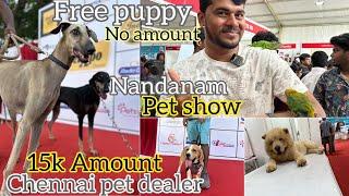 Pet show 2023 nandanam YMCA & fancy birds chennai