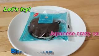 [Japan]Chocolate mint cake/ミントどら焼き
