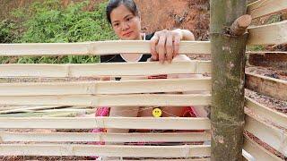 Build a kitchen with existing bamboo, build a sturdy bamboo fence part 02 | Ly Thi Thanh Bushcraft