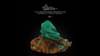 ONE MORE surprise video at the Tucson Fine Mineral Gallery's 2024 Thanksgiving Showcase Weekend