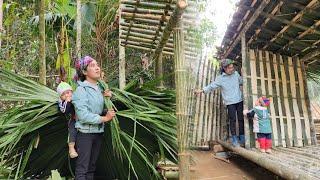 Young Single Mom Built a Bamboo House as a Bathroom on a Forest Farm in 7 Days