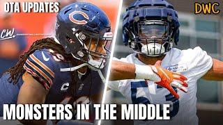 Bears New LB's Making Big Impact || Chicago Bears OTA News