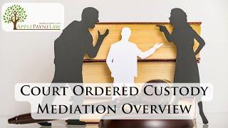 What happens in Court-Ordered Child Custody Mediation? //Apple Payne Law