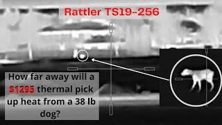 Now $795: AGM Rattler V2 TS19-256 Image Quality from 50-700 yards