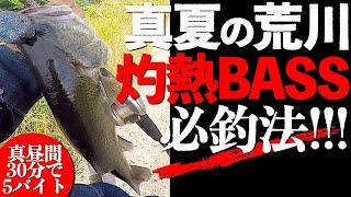 荒川バス釣り真夏の真昼間攻略法【2023.06.21】