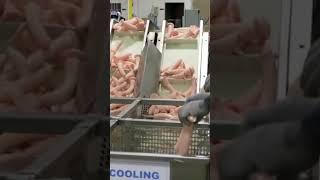 DILDOS MANUFACTURING