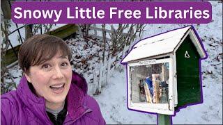 ️ Little Free Libraries in the Snow ️ Winter Free Little Libraries 