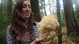 Yellow Elanor Video Series Announcement