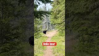 That went well…..  #algonquin #backcountry #hiking