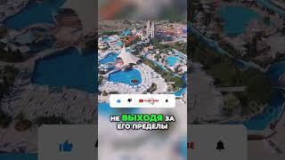 купить недвижимость в батуми для инвестиций и пассивного дохода  #инвестиции #недвижимостьвгрузии
