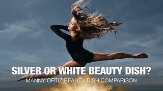 Silver or White Beauty Dish