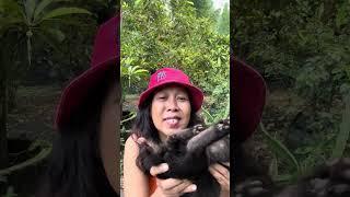 Orang buang kucing di lempar di rumahku #orangsetangberhatihantu#videoshortviralvideo #gemes