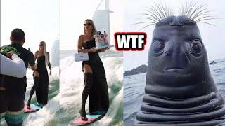 I am so confused... | What is Happening in These Pictures!? #77