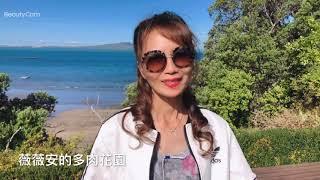 新西兰 薇薇安的多肉花园 翠绿龙舌兰的户外种植