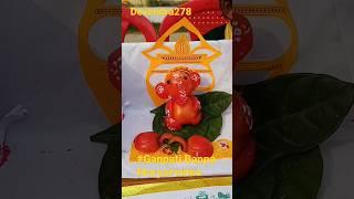 ## artist tomato ka Ganpati papa Morya ka Murti Banaya Gaya Hai#tranding #video