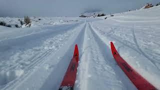 Cross Country Skiing in Gunnison, Colorado