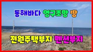 611 구만리 펜션부지매매 영구조망이 가능한 호미곶펜션부지매매 일출을 항상 볼 수 있는 포항토지매매 지대가 약간 높아 전망이 최고인 포항전원주택매매 포항부동산 호미곶부동산