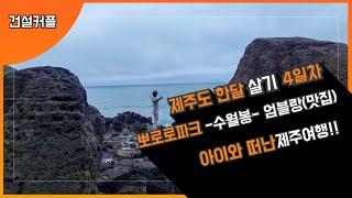제주한달살기 4일차!아이와 함께하기 좋은 여행지