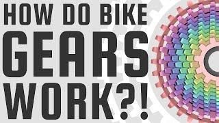 HOW DO BIKE GEARS WORK?! | BIKOTIC