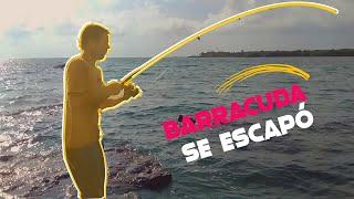 HISTORIAS de un PESCADOR mexicano: BARRACUDA GRANDE se nos fué!