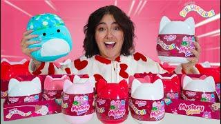 UNBOXING 15 *MYSTERY VALENTINES* SQUISHMALLOWS