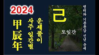 2024 갑진년 운세 기토일간 운세 기토일간에게 갑진년은? #2024갑진년운세