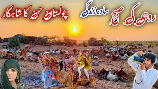 Desert  Rohi Cholistan Me Morning Routine   |shahzad cholistani |