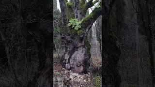 Заброшки в Абхазии