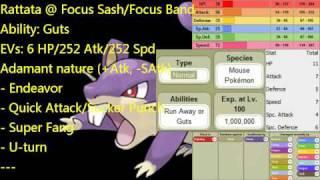 Rattata  More Fear Even Eever So Teir Moveset