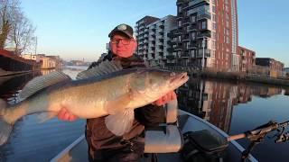 Monster Snoekbaars als bijvangst tijdens het vissen op SNOEK!